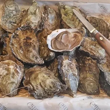 Maison Neuve, Relaxing Countryside With Pool