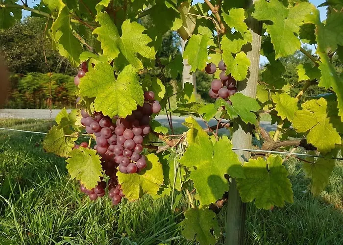 Maison Neuve, Relaxing Countryside With Pool Casa de Férias Chillac